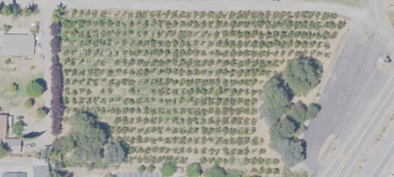 183 Apple Ln
