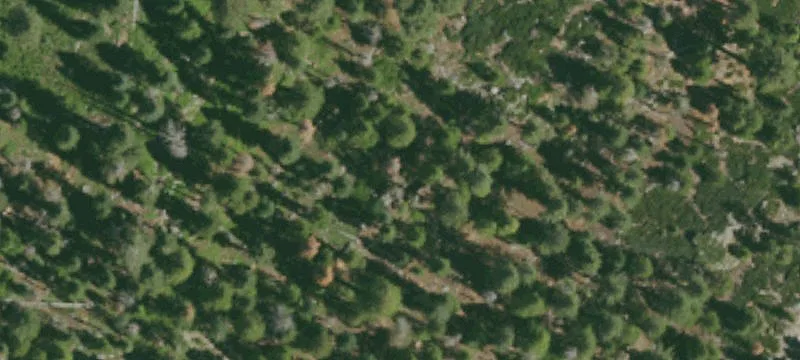 Foresthill, CA 95631