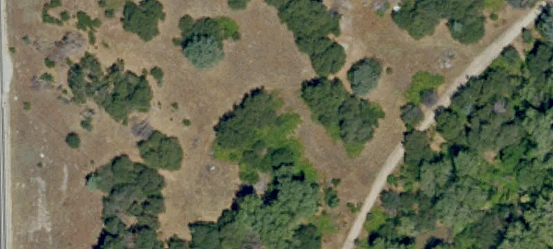 8989 Auburn Folsom Rd