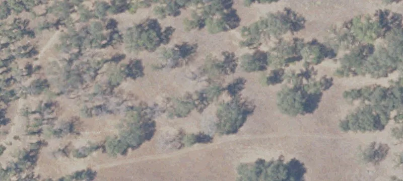 Loomis, CA 95650