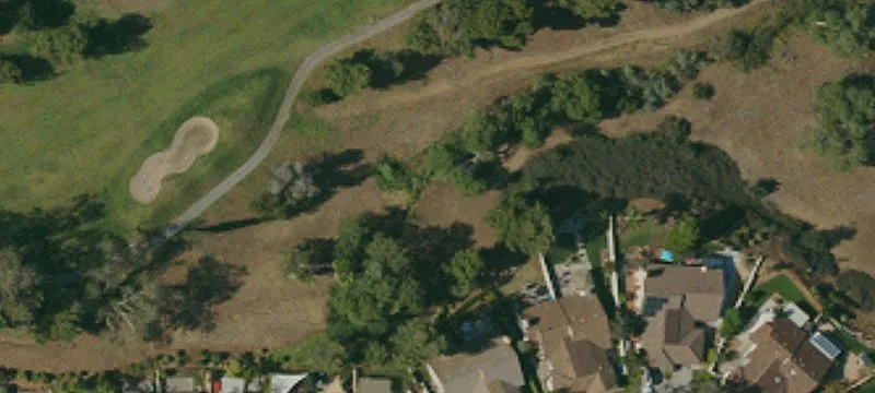 Daisy Ln