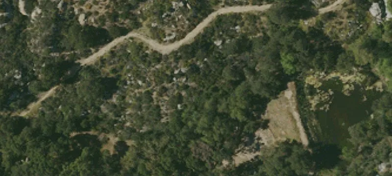 Lilac Rd