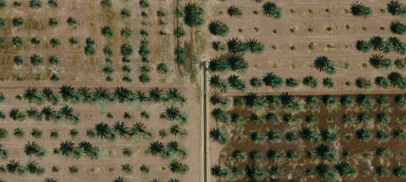 1115 Perez Rd