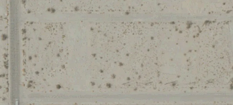 1582 Desert Sand Ave