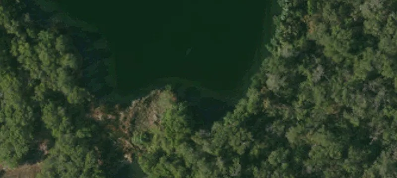 Pala Rd