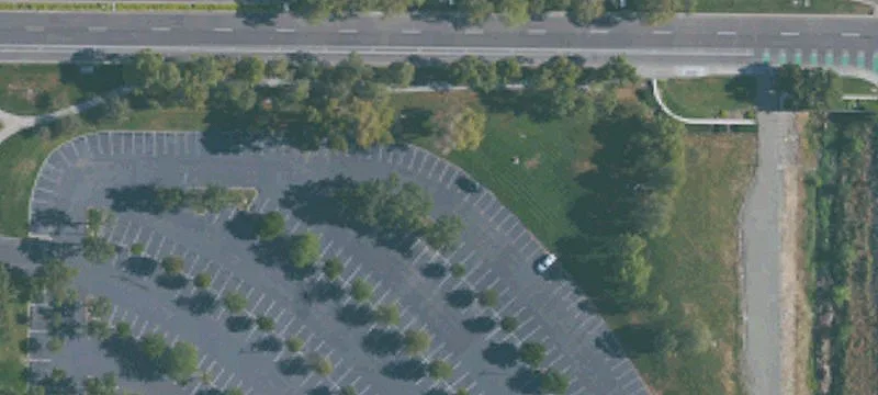 Rosewood Dr