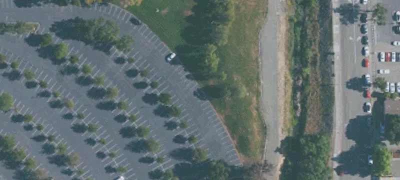 Rosewood Dr