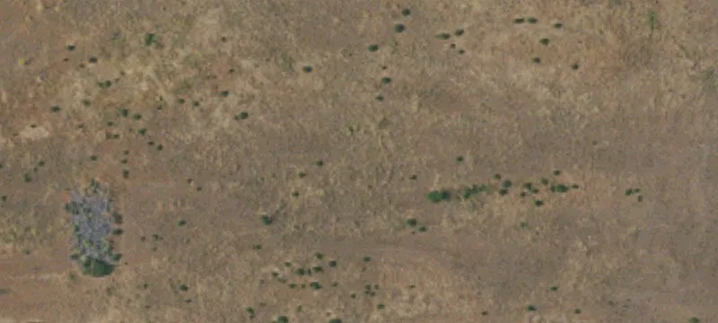 El Charro Rd