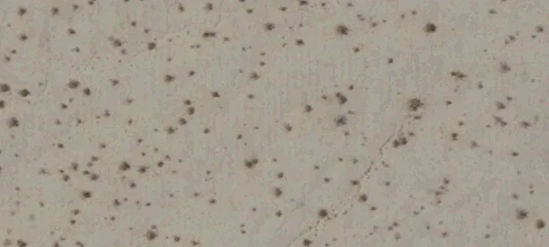 Calipatria, CA 92233