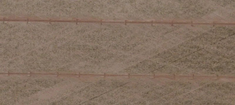 Calexico, CA 92231