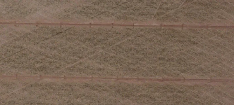 Calexico, CA 92231