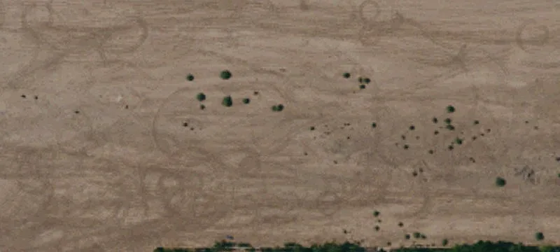 Calexico, CA 92231