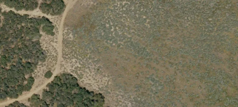 Gorman, CA 93243