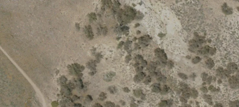 Gorman, CA 93243