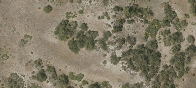 Gorman, CA 93243