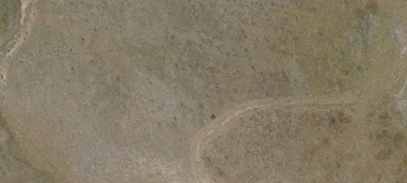 Gorman, CA 93243