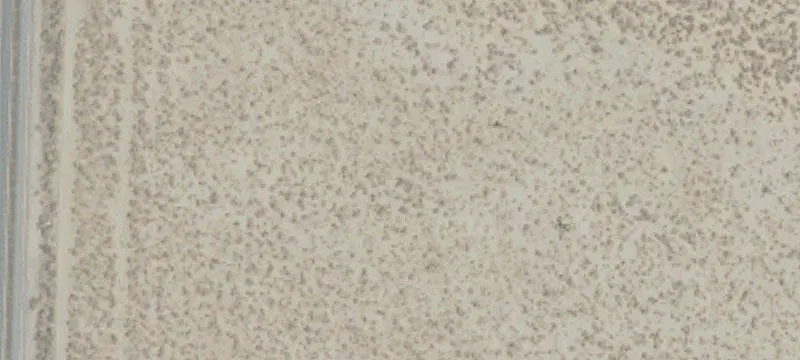 Mojave, CA 93501