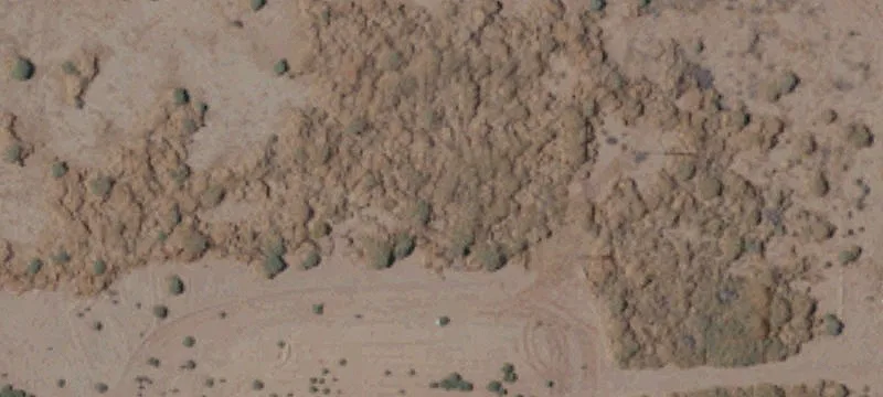 Calexico, CA 92231