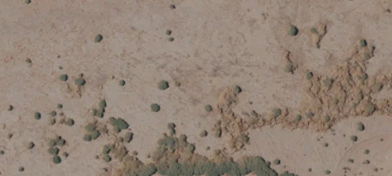 Calexico, CA 92231