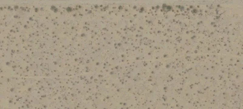California City, CA 93505