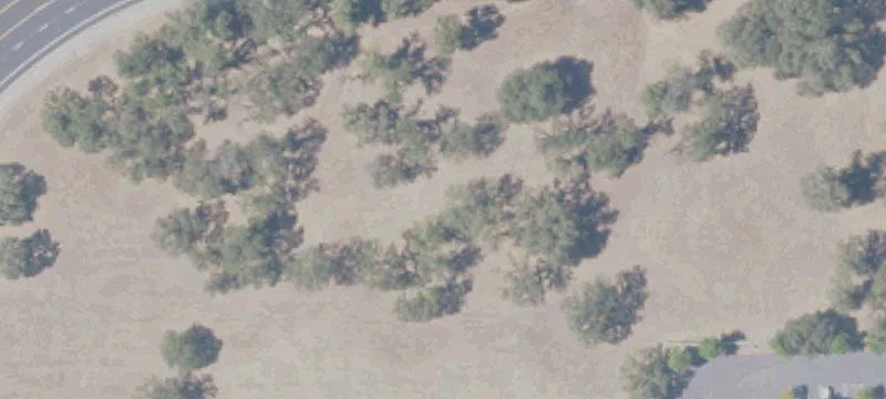 Rocklin, CA 95677
