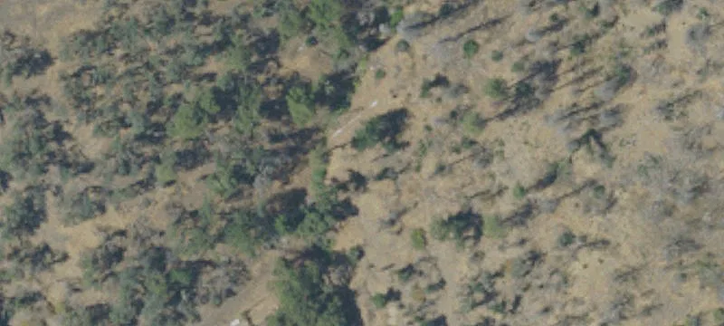 13241 Trl Gulch Rd