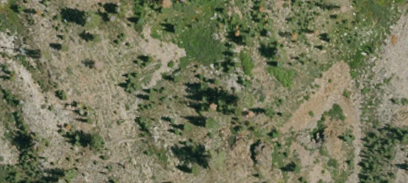 2799 Alpine Mdws Rd