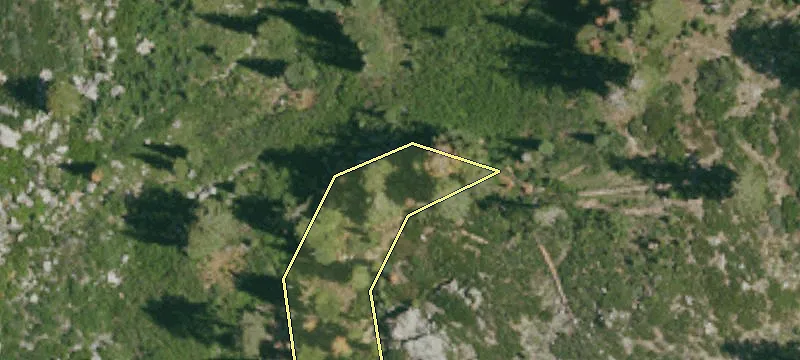 Olympic Valley, CA 96146