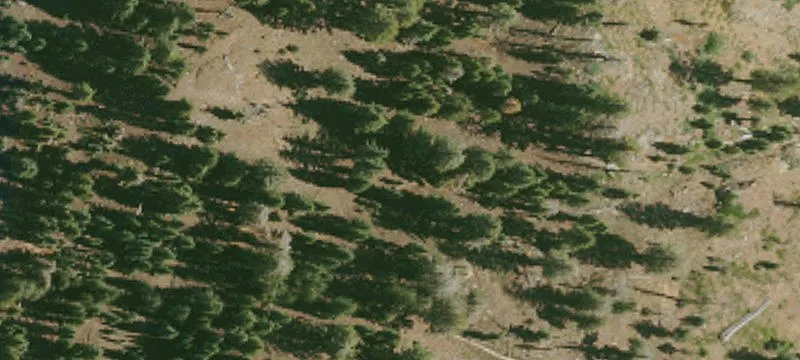 Alpine Meadows, CA 96145