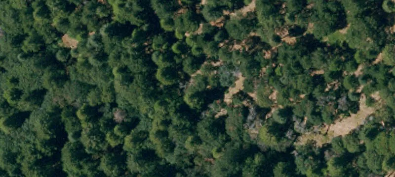 Foresthill, CA 95631