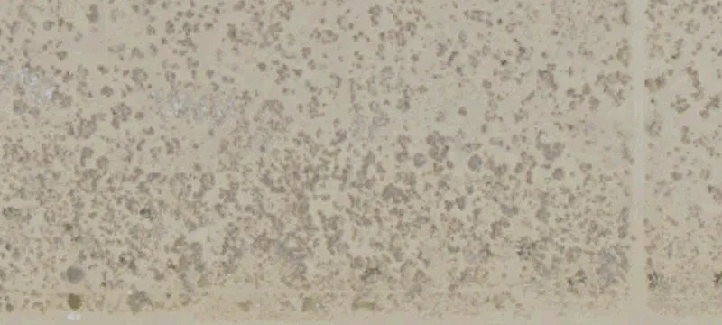 Palmdale, CA 93550