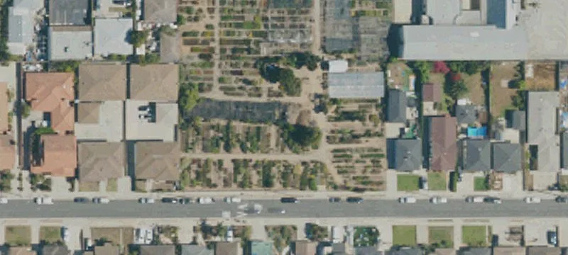 12717 Grevillea Ave