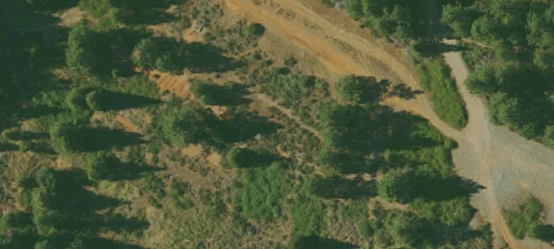 Foresthill, CA 95631