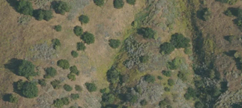 24400 Calabasas Rd