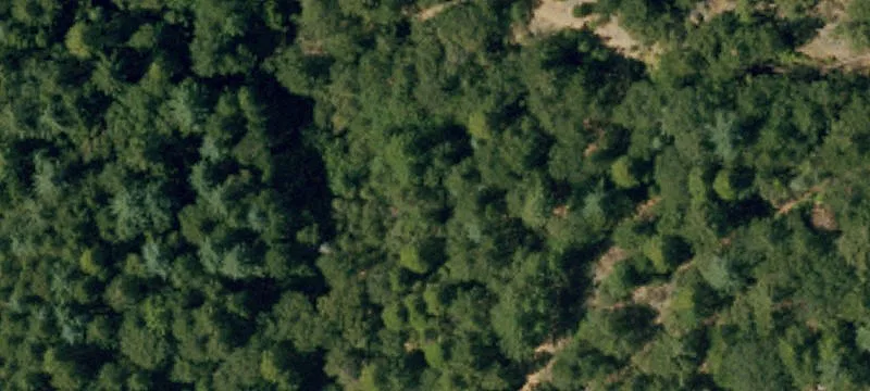 28000 Rollins Lk Rd