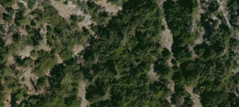 Altadena, CA 91001