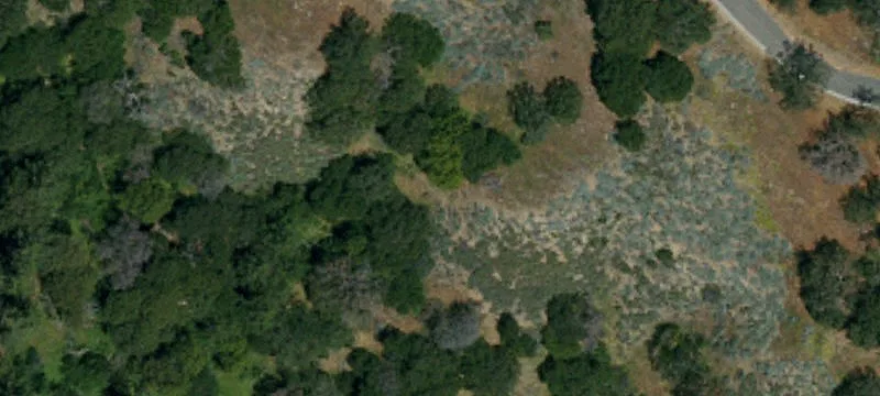 Chatsworth, CA 91311