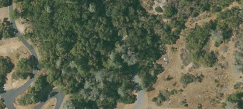 1329 Ponderosa Way