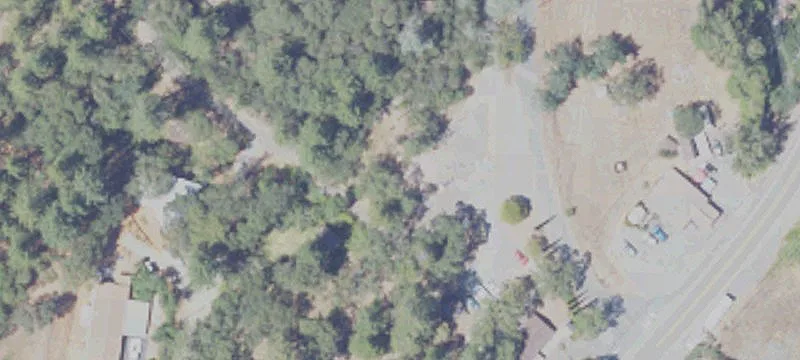 135 Pinewood Way