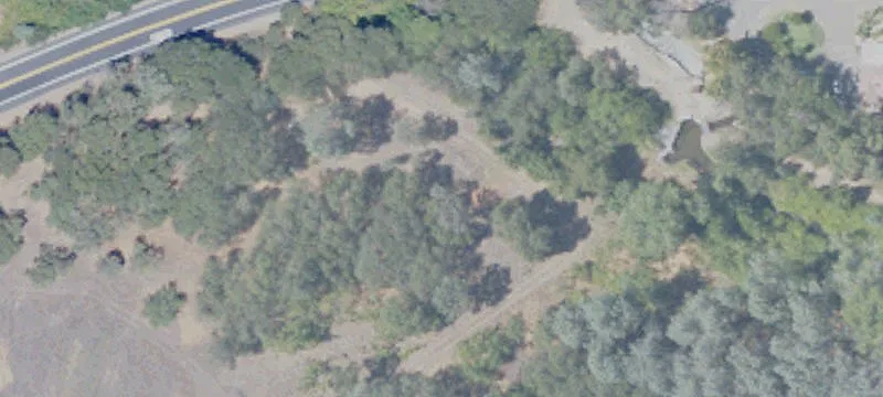 Taylor Rd