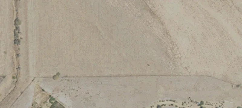 615 Ave L L