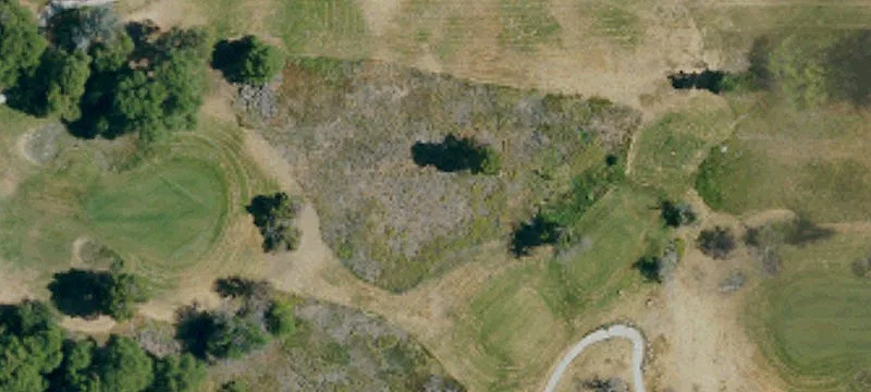 31652 Hwy 79