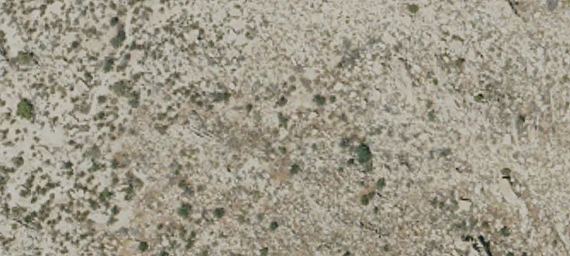 Coyote Cyn Jeep Trl
