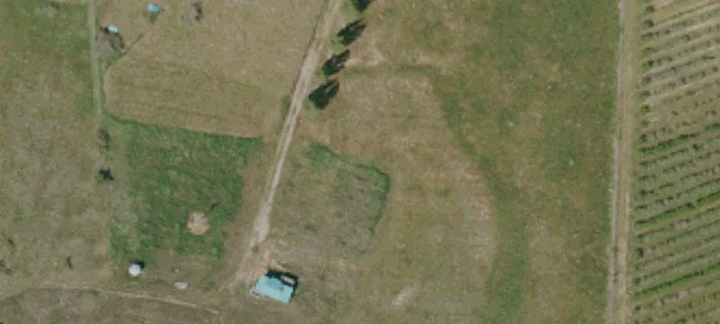Julian Orchards Dr