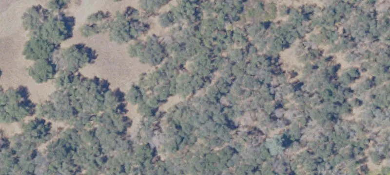 Loomis, CA 95650