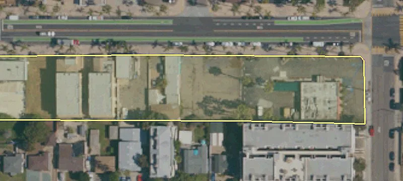 Palm Ave