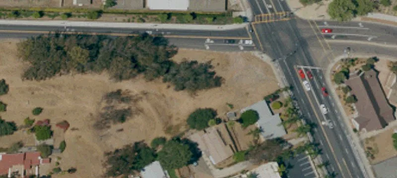 Eucalyptus Ave