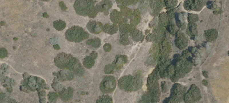 Rancho Palos Verdes, CA 90275