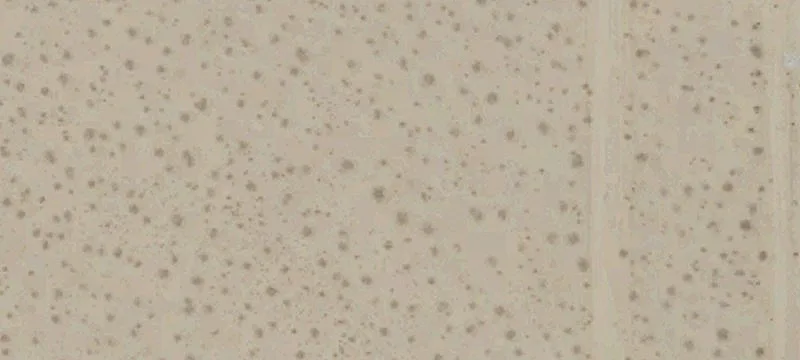 Mojave, CA 93501