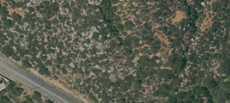 Tavern Rd